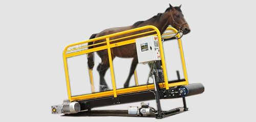 prix marcheur aquatique cheval