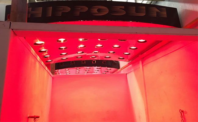 hipposun solarium pour chevaux