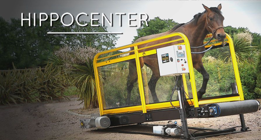 prix marcheur aquatique cheval
