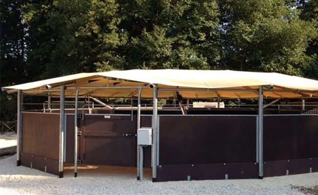 marcheur pour chevaux pro 3