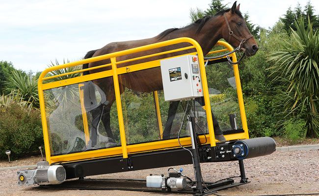 tapis hippotrainer +