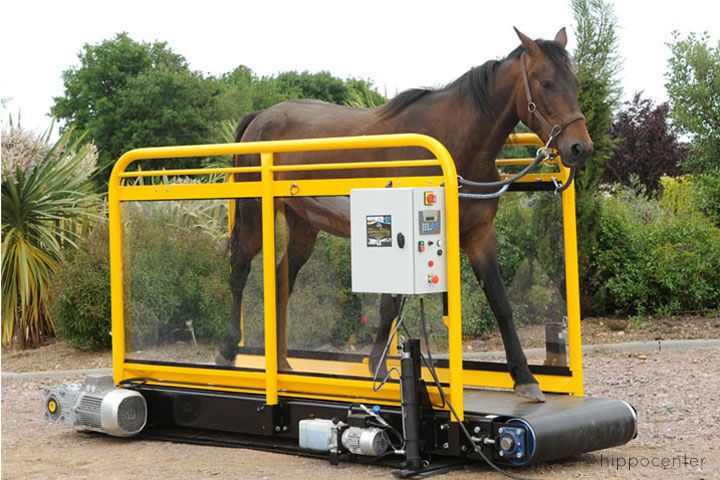 tapis toulant pour chevaux hippocenter