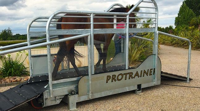 protrainer 2