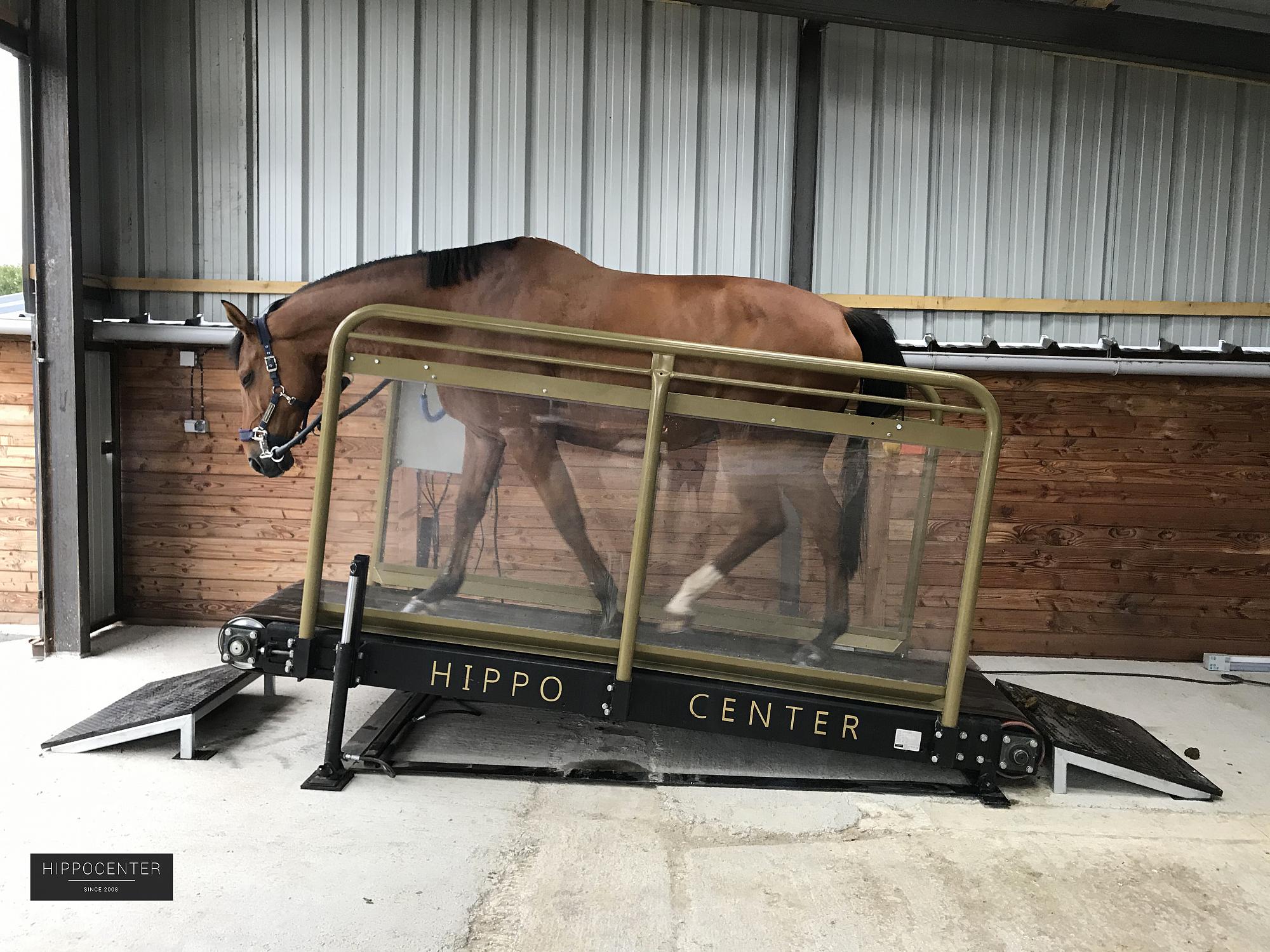 Les tapis roulants pour chevaux - Avril 2021