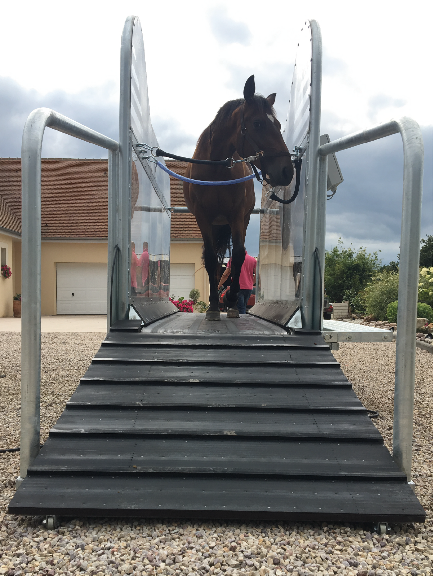 protrainer 1