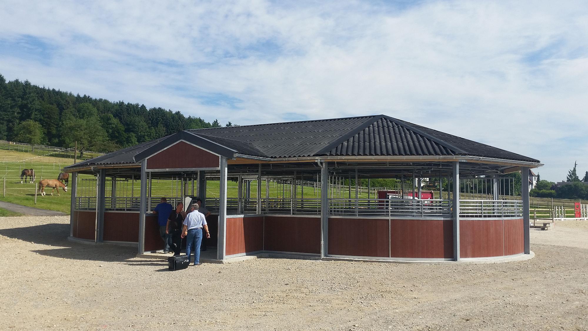 marcheur pour chevaux occasion